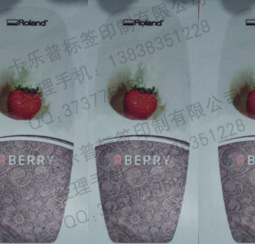 �p��ӡˢ��(bi��o)��